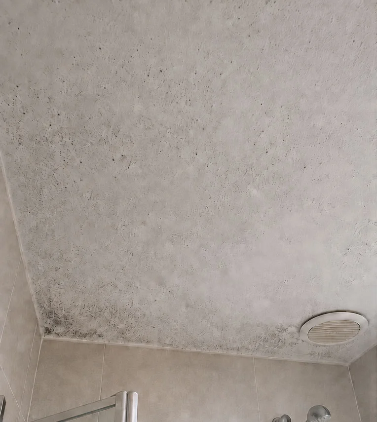 Bathroom ceiling covered in black mould spots around the exhaust fan before remediation