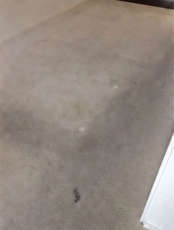 Carpet with dark traffic shading and a spot stain before steam cleaning