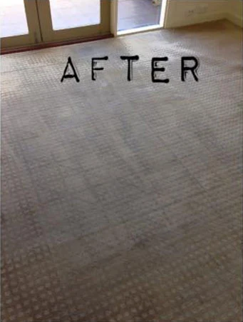 Same living room carpet with the marks lifted and an even finish after steam cleaning