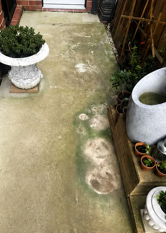Concrete side path stained with green algae, dirt and pot marks before pressure cleaning