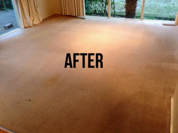 Same lounge room carpet refreshed with stains lifted after a deep clean