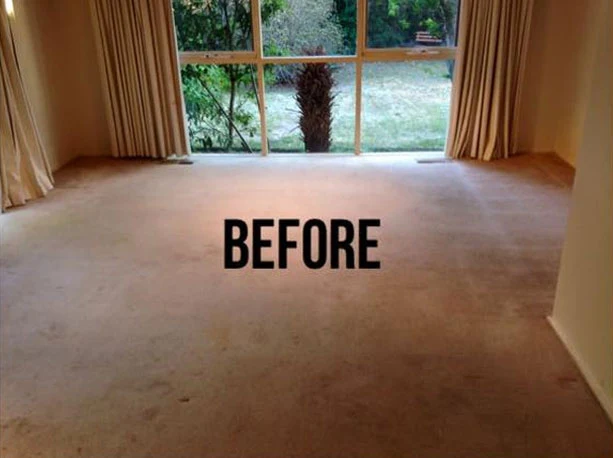 Lounge room carpet dull and marked with scattered stains before a deep clean