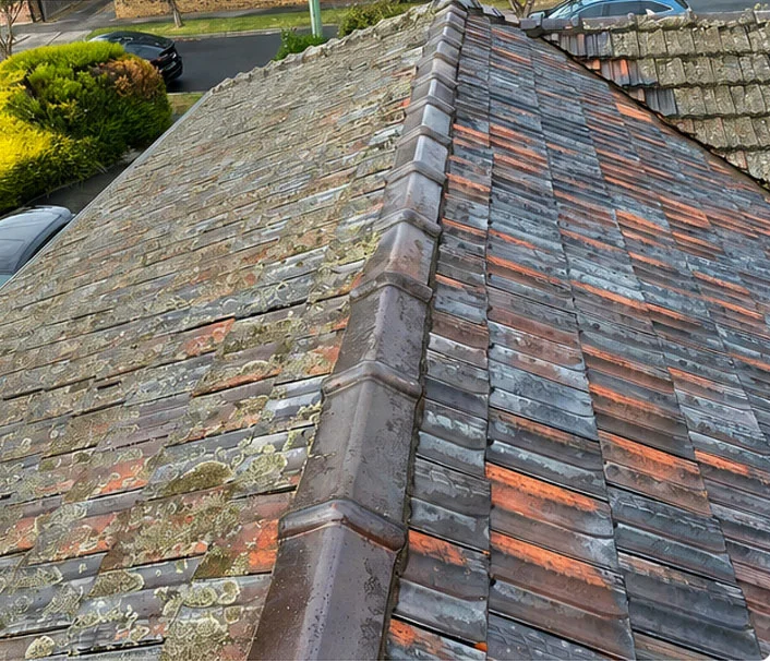 Terracotta roof tiles and ridge capping covered in lichen and grime before pressure cleaning