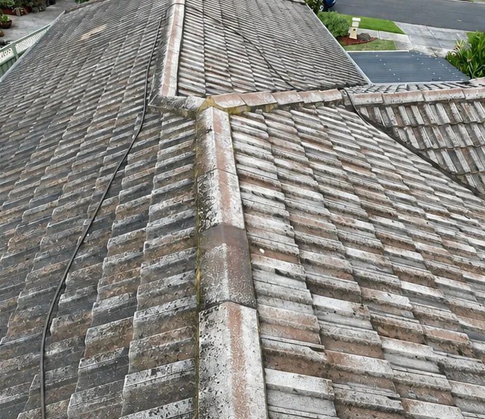 Weathered concrete roof tiles and ridge capping stained with lichen and dirt before restoration