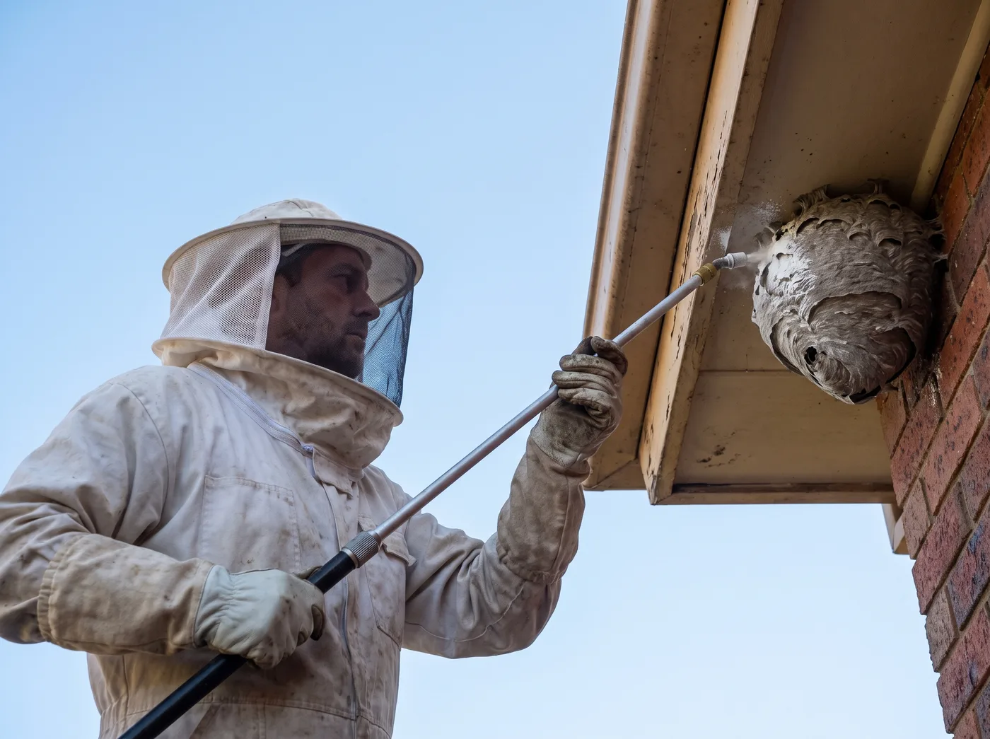 Protected technician treating a wasp nest beneath a roof eave